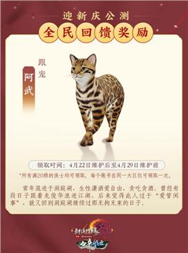 天龙八部私服如何启动